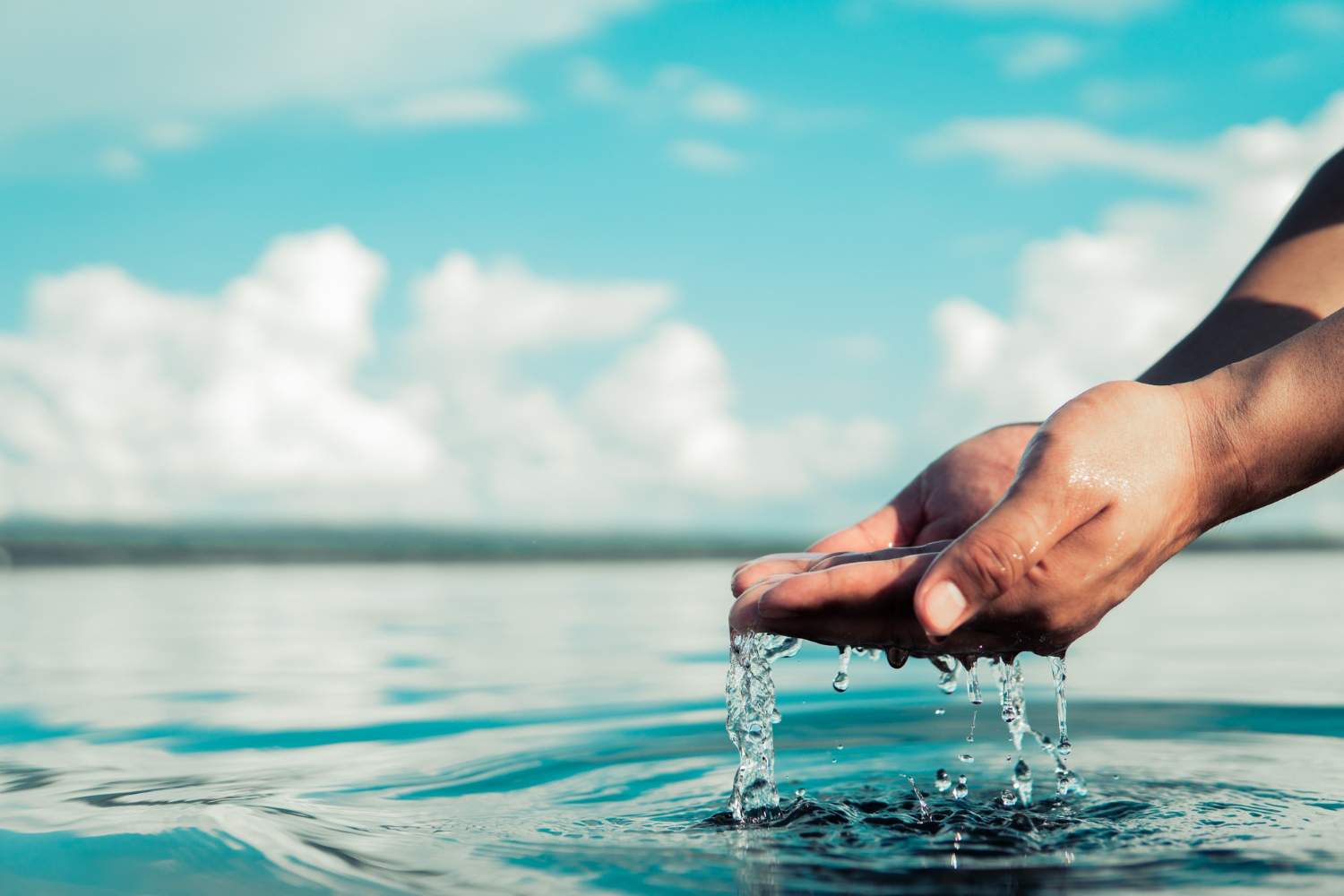 Proyectos y soluciones de ahorro de agua en España